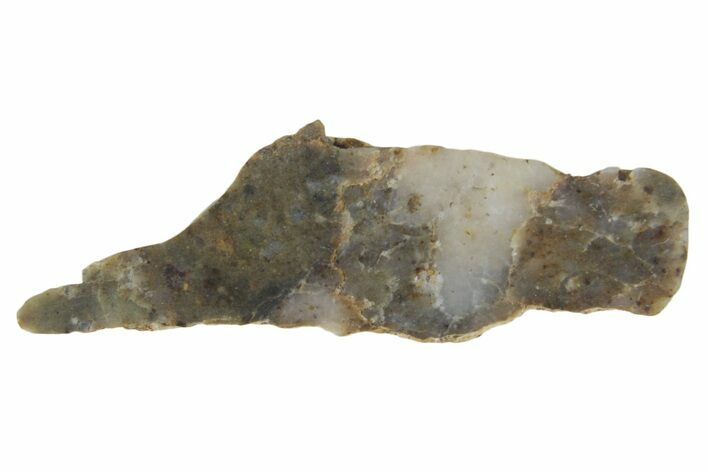 Lunar Meteorite ( g) Slice - Laayoune #360183